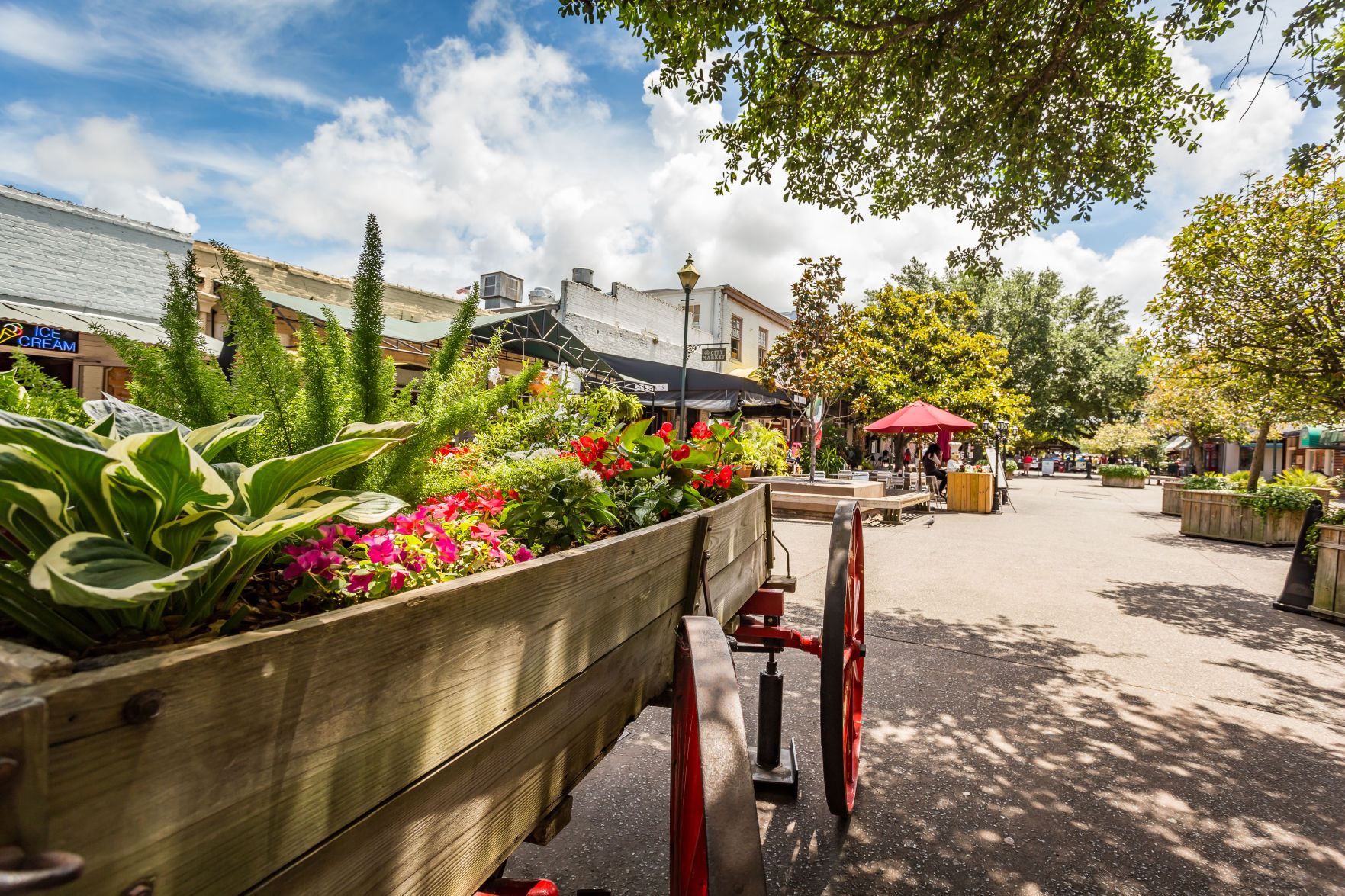 Savannah City Market